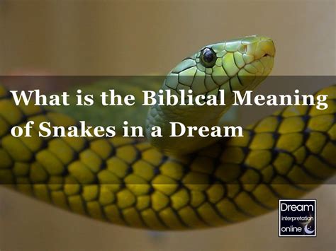 The Snake and the Savior: A Biblical Interpretation of a Dream